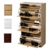 Tủ giày cửa lật TG02